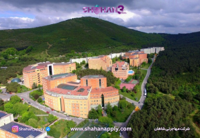 دانشگاه یدی تپه